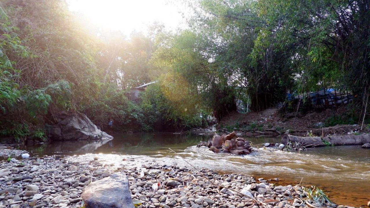Photo of Others in Mae Fa Luang