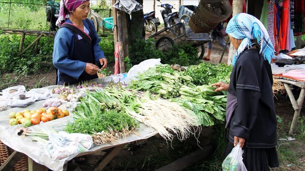 Photo of Others in Mae Fa Luang