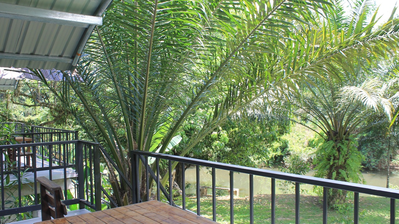 Photo of Patio Balcony in Khlong Sok
