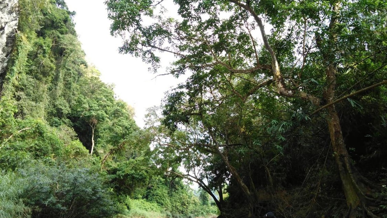 Photo of Outdoor in Khlong Sok