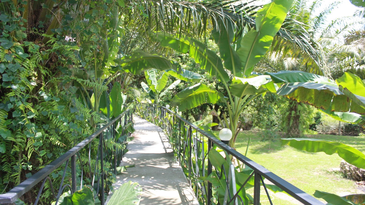 Photo of Outdoor in Khlong Sok