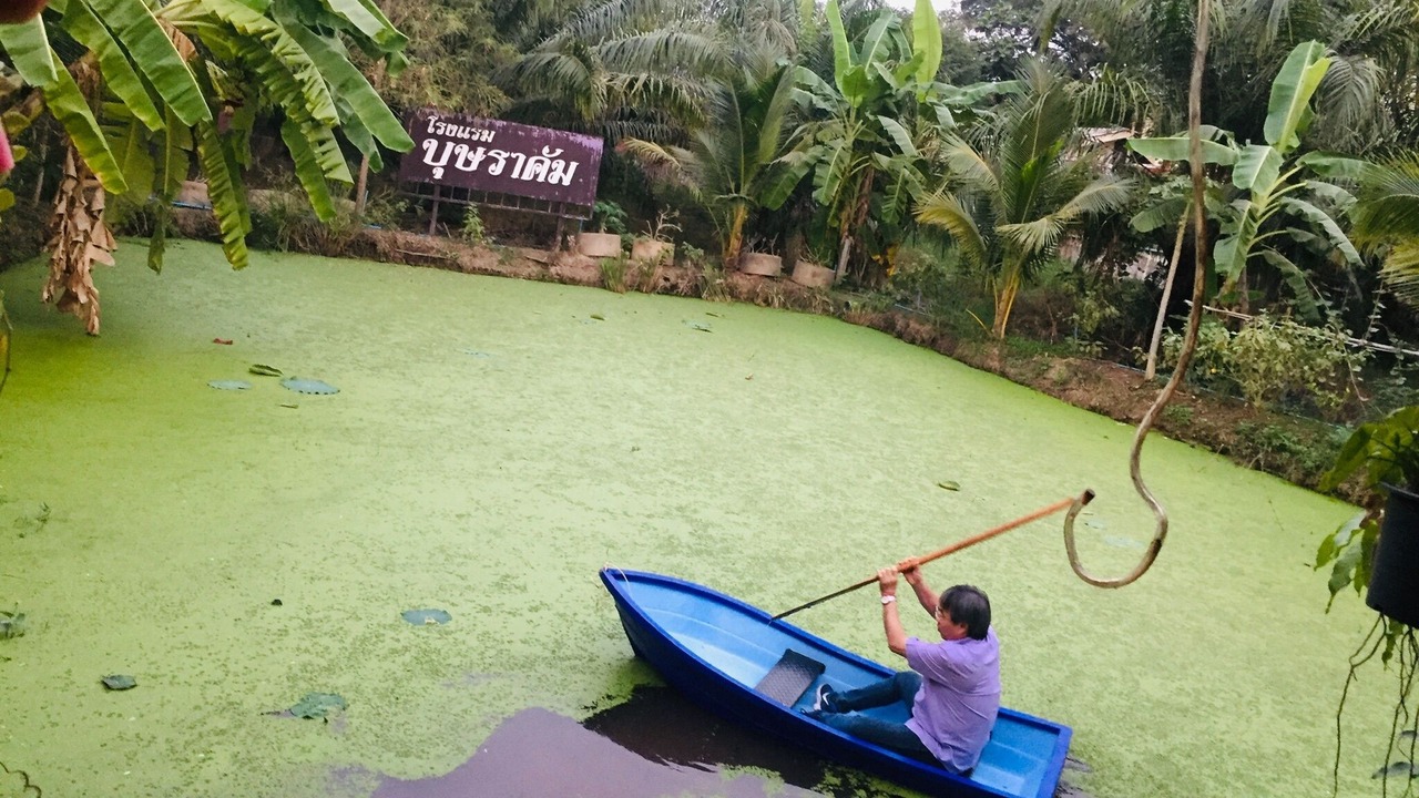 Photo of Outdoor in Tha Muang