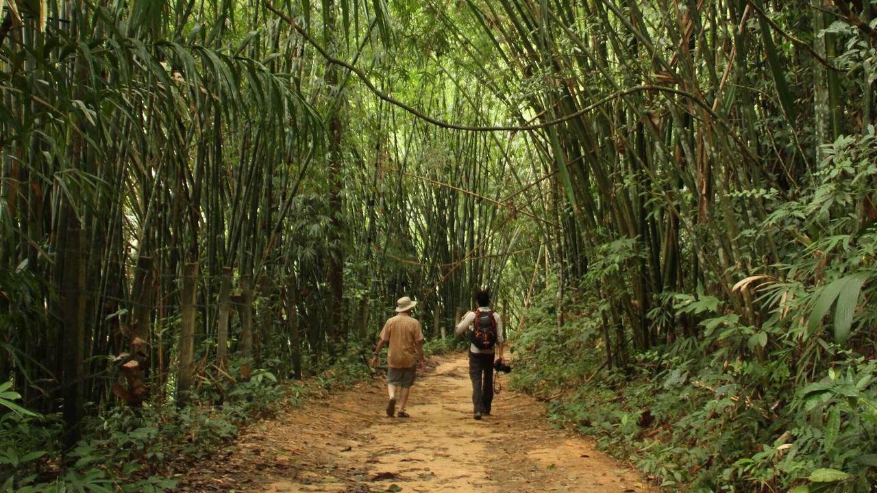 Photo of Outdoor in Khlong Sok