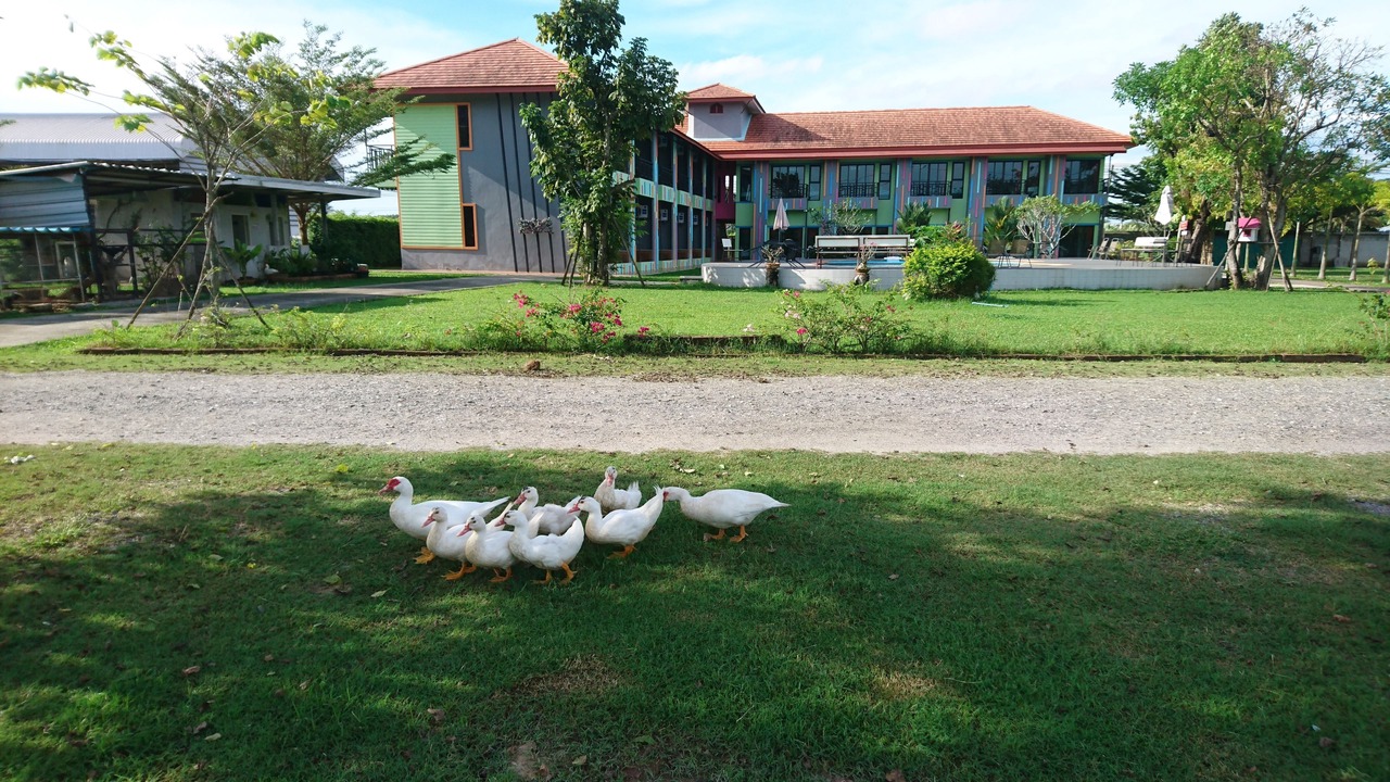 Photo of Outdoor in Phanat Nikhom