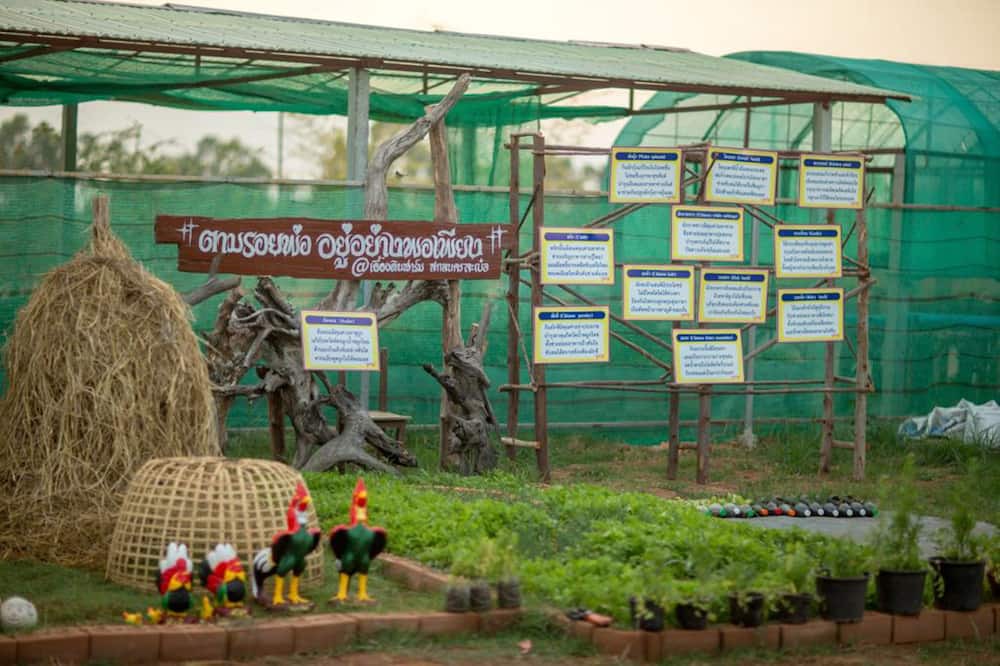 Photo of Outdoor in Sakon Nakhon