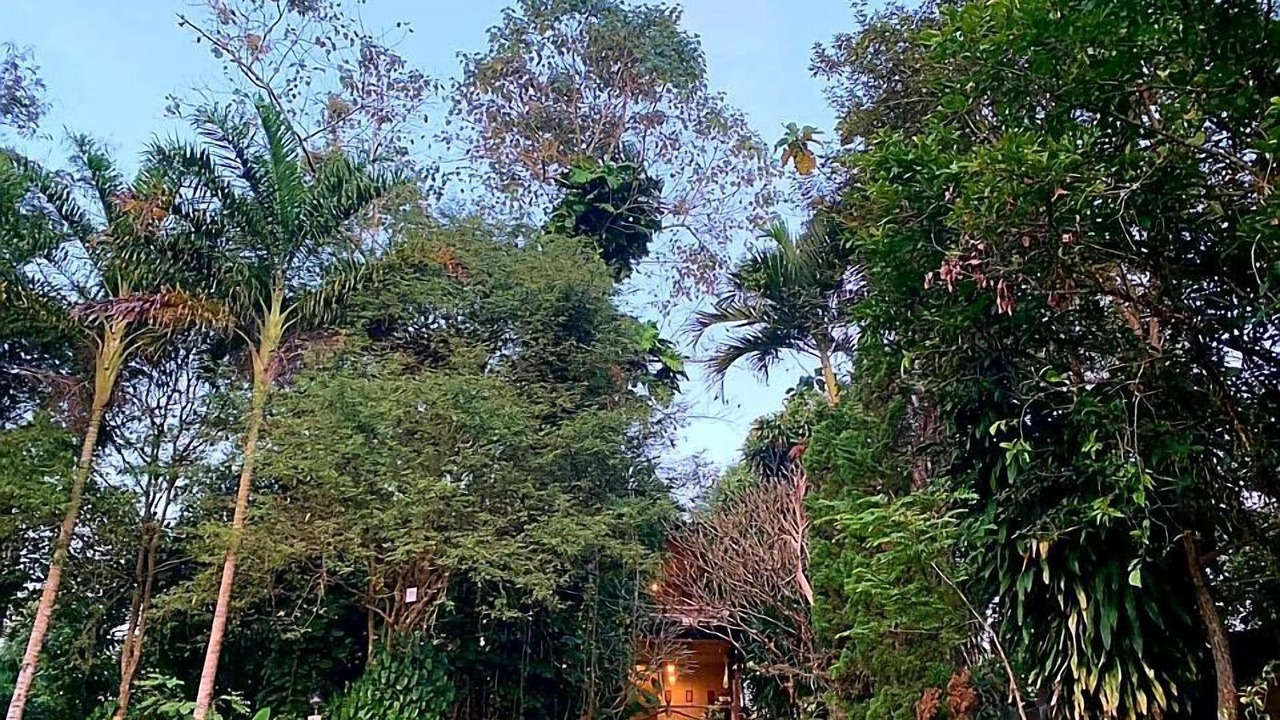 Photo of Outdoor in Fang