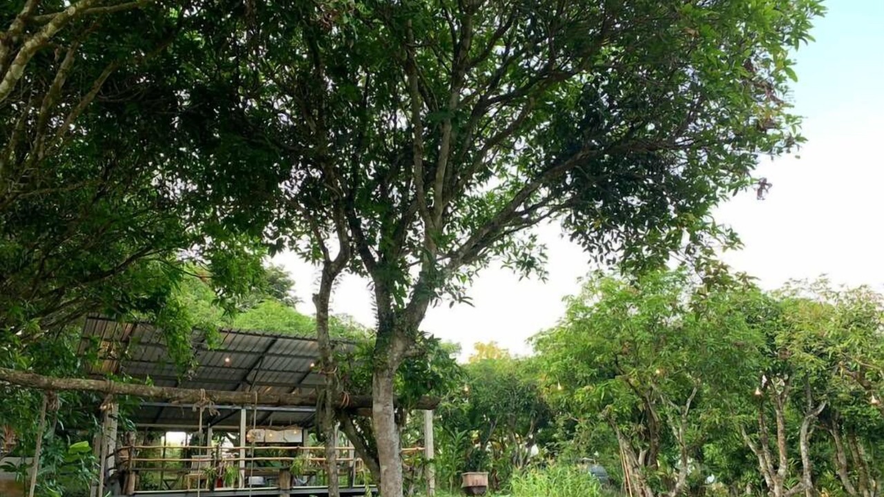 Photo of Outdoor in Fang
