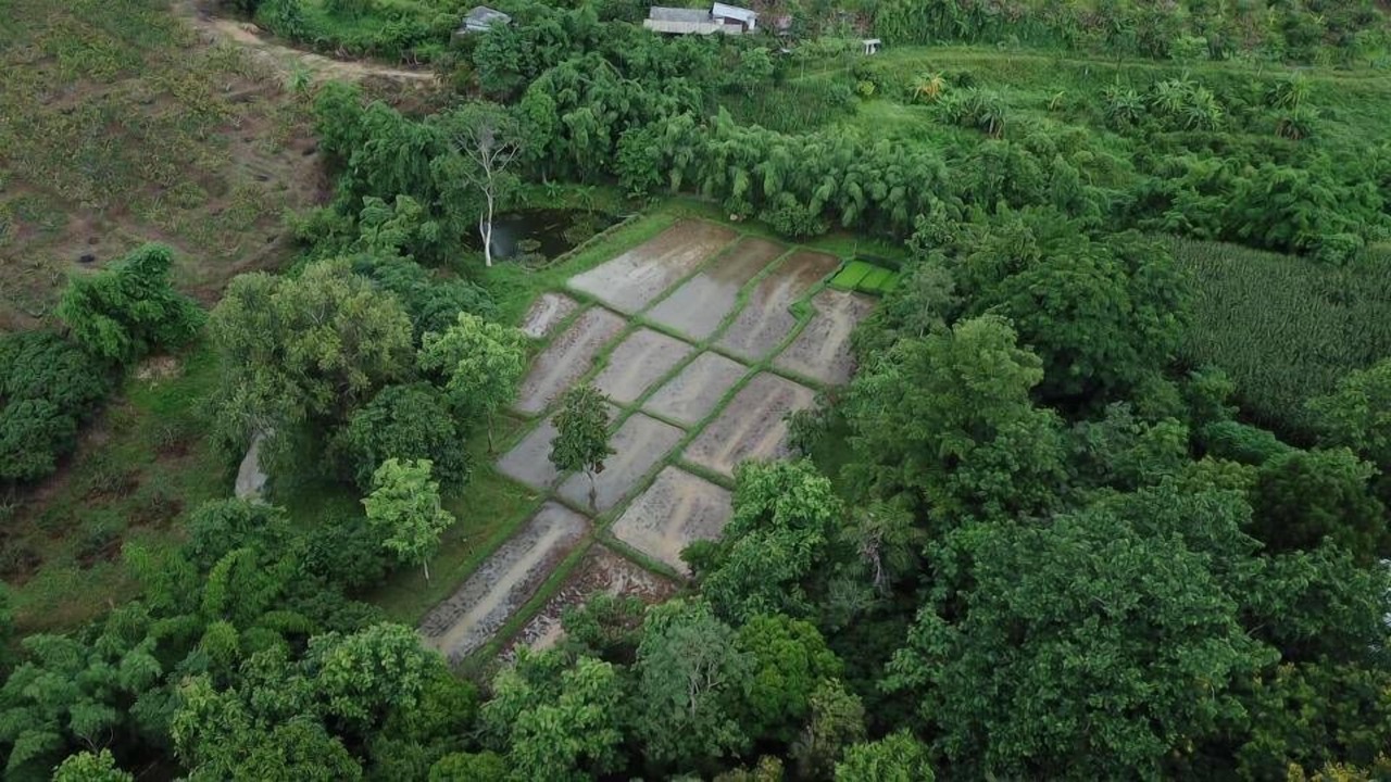 Photo of Outdoor in Fang