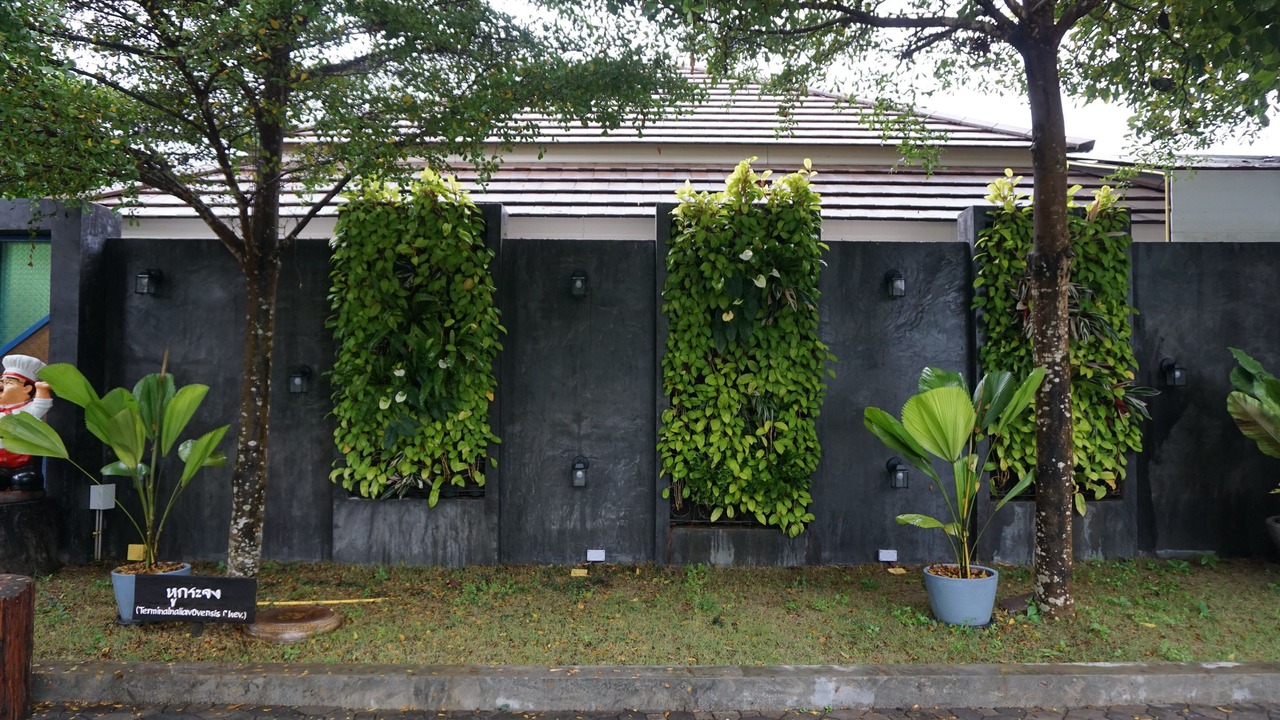 Photo of Outdoor in Mae Chan