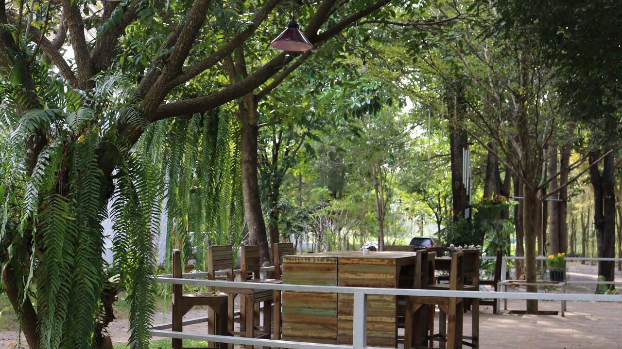 Photo of Outdoor in Suan Phueng