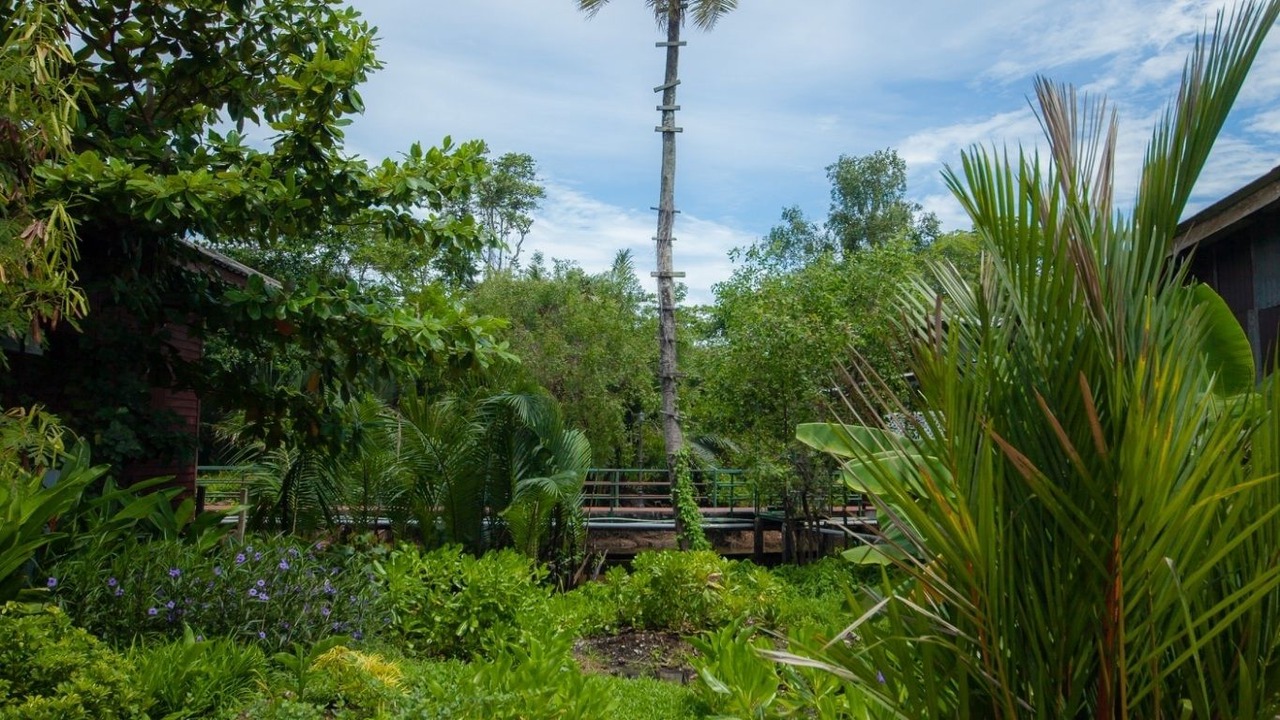 Photo of Outdoor in Bang Phra