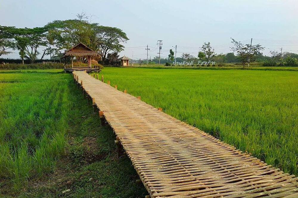 Photo of Outdoor in Mae Lao