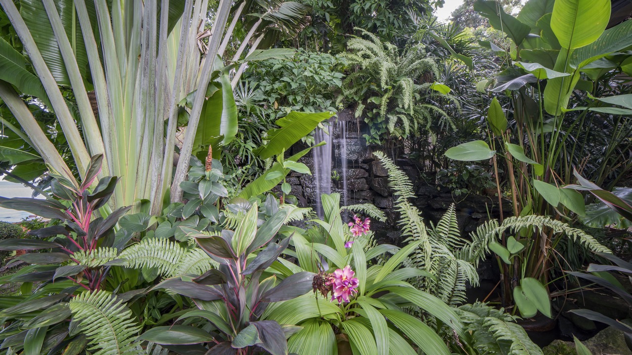 Photo of Outdoor in Rayong
