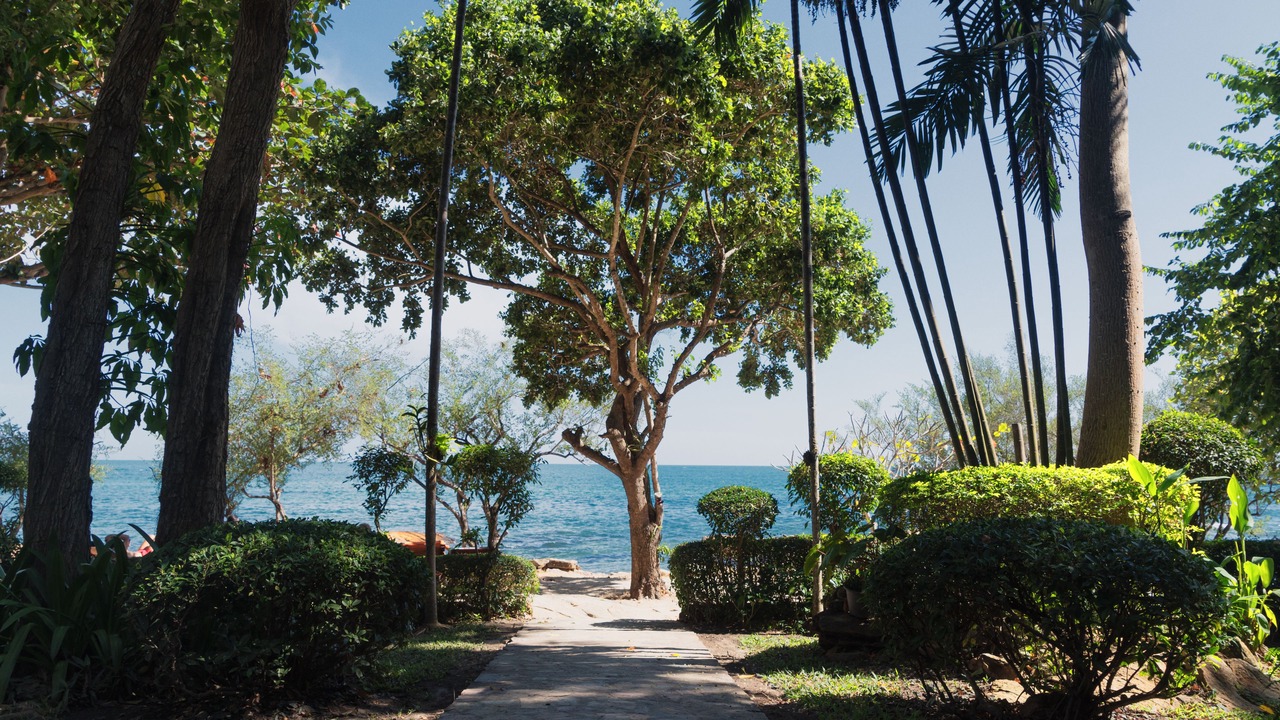 Photo of Others in Rayong