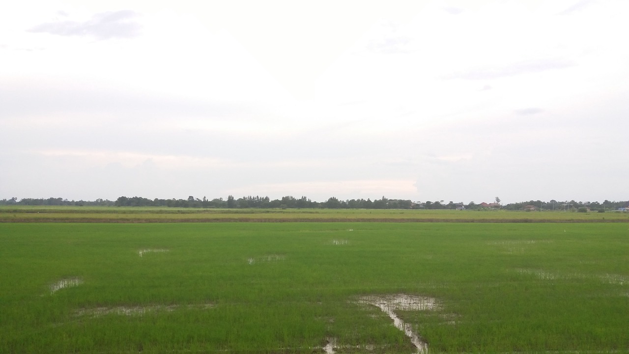 Photo of Others in Nakhon Nayok
