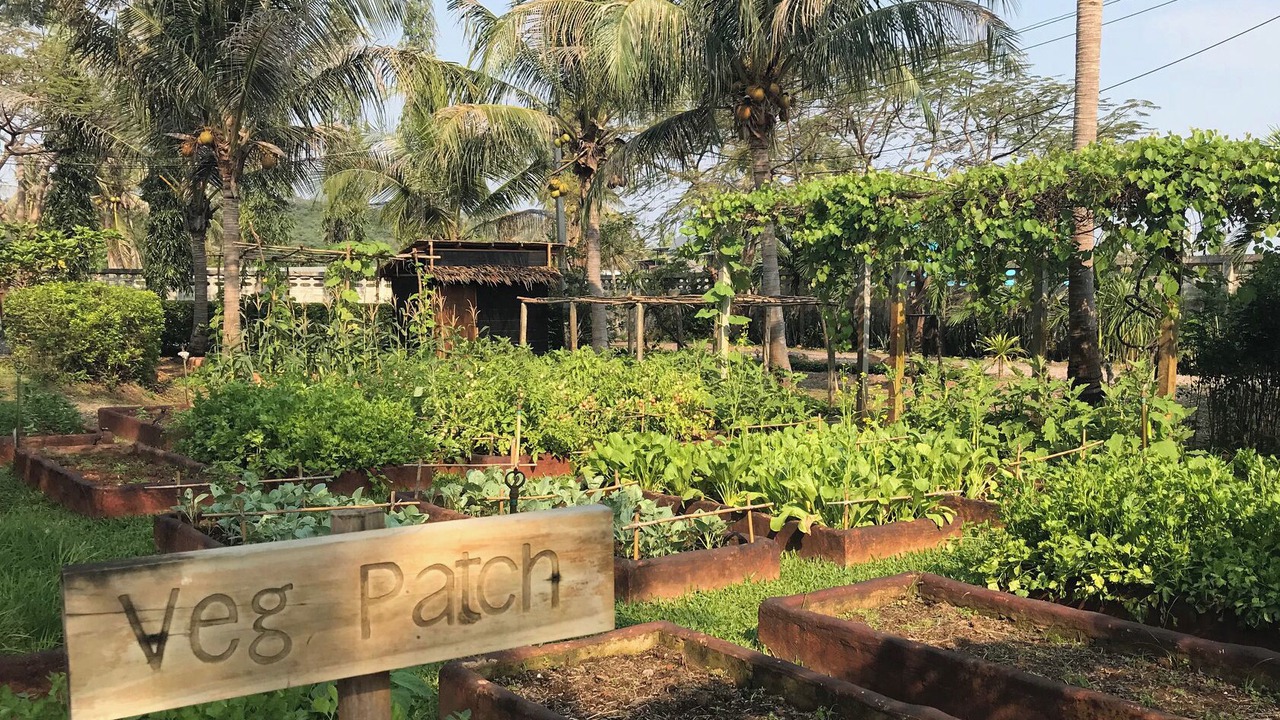 Photo of Outdoor in Pak Nam Pran