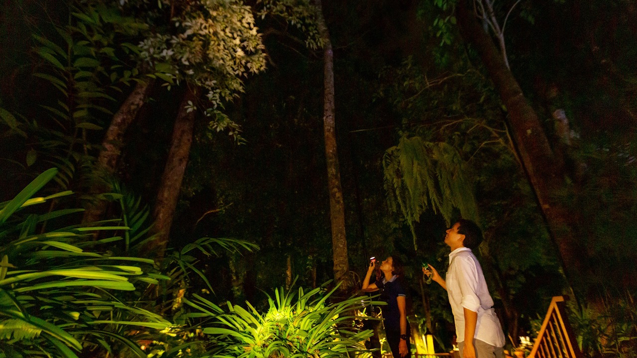 Photo of Outdoor in Khao Lak