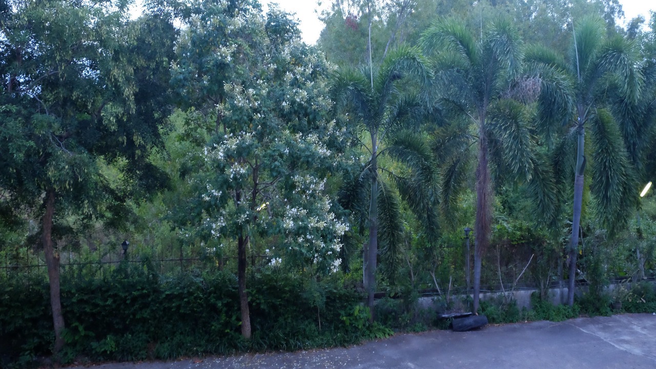 Photo of Outdoor in Chakphong