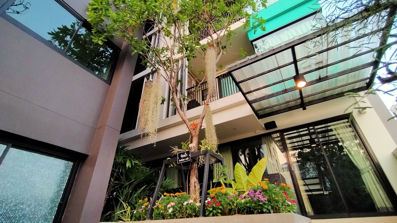 Photo of Outdoor in Chan Kasem