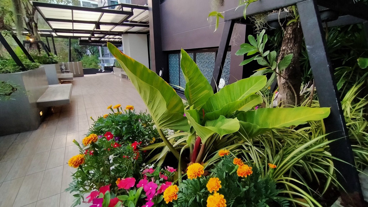 Photo of Outdoor in Chan Kasem