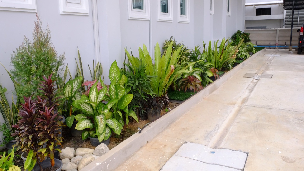 Photo of Outdoor in Noen Phra