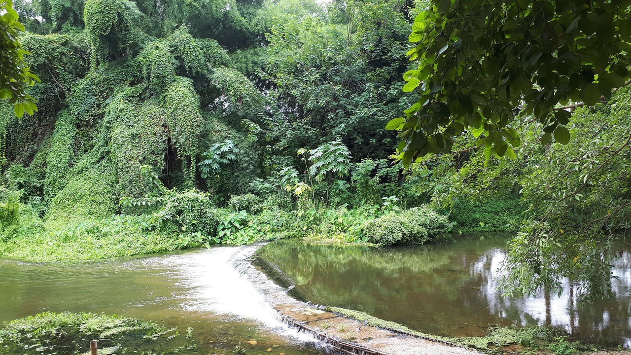 Photo of Others in Suan Phueng