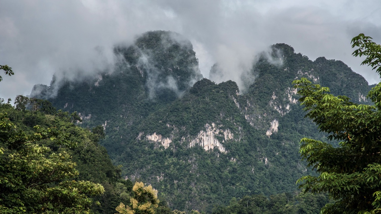 Photo of Others in Thong Pha Phum