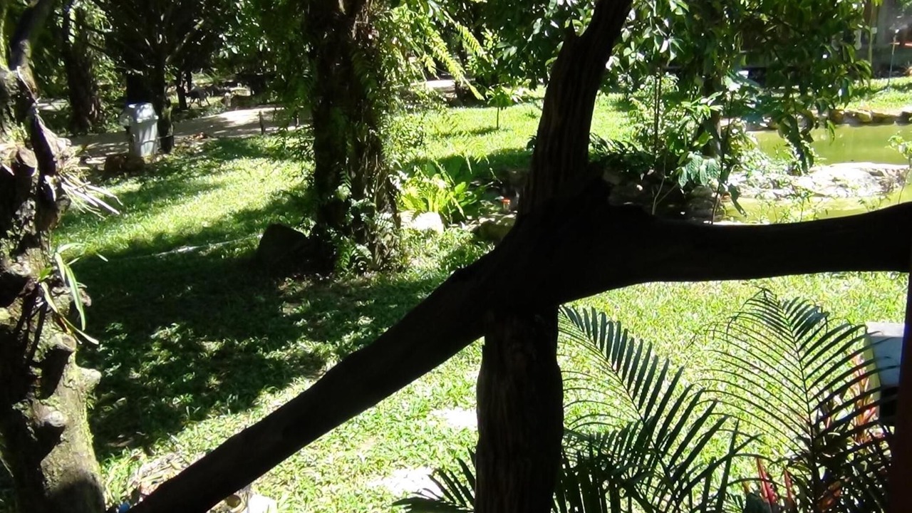 Photo of Outdoor in Lam Kaen
