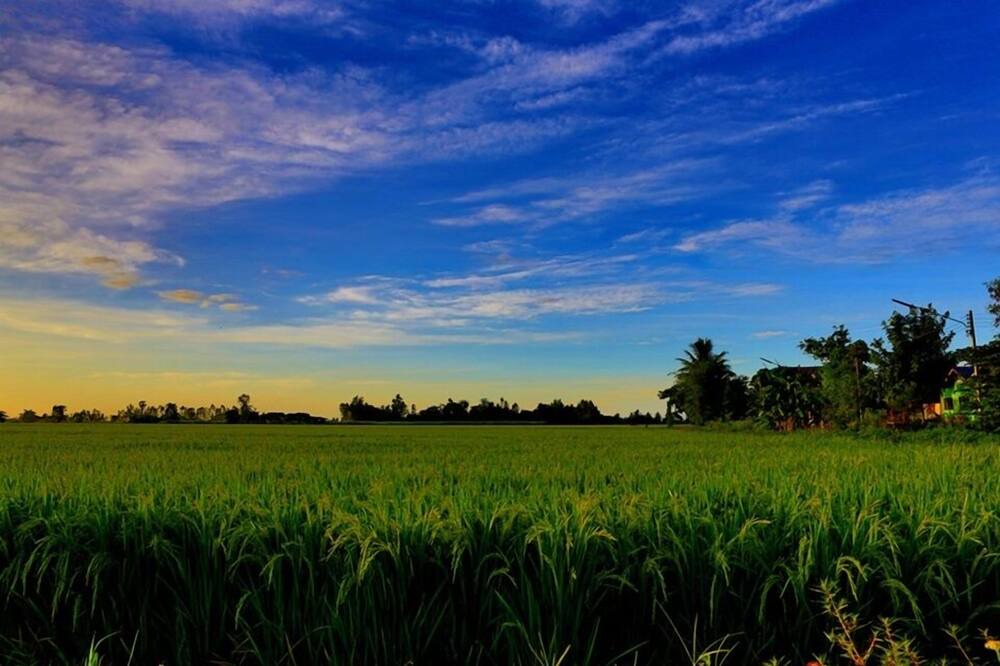 Photo of Outdoor in Phrao