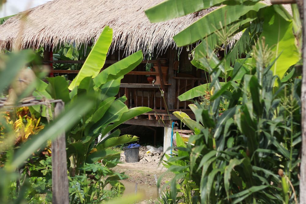 Photo of Outdoor in Phrao