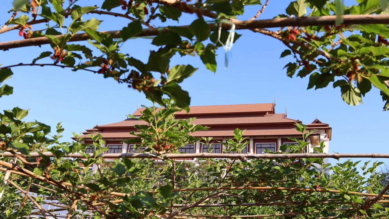Photo of Outdoor in Chom Thong
