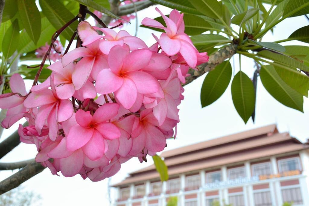 Photo of Outdoor in Chom Thong