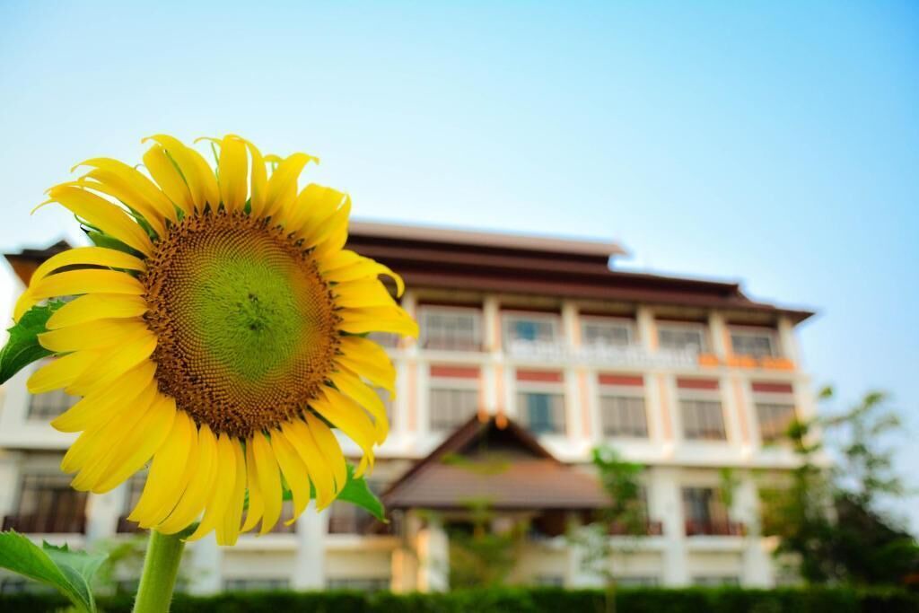 Photo of Outdoor in Chom Thong