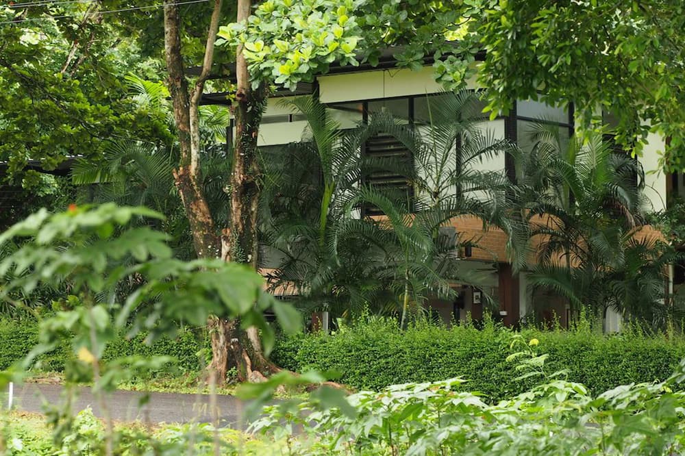 Photo of Outdoor in Sarika