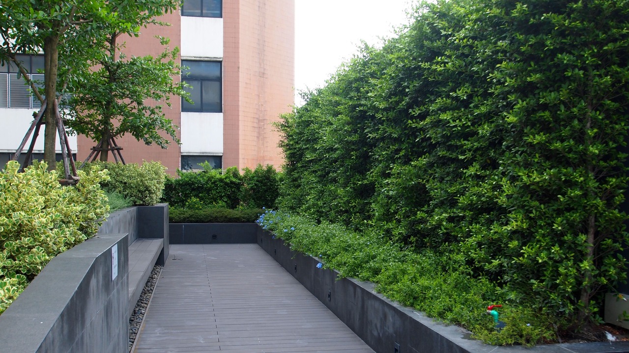 Photo of Outdoor in Phahonyothin
