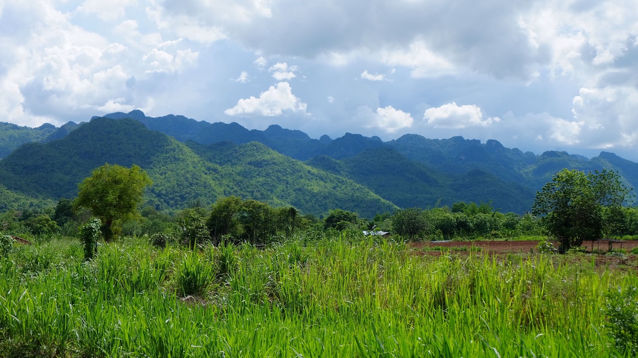 Photo of Outdoor in Tha Sao