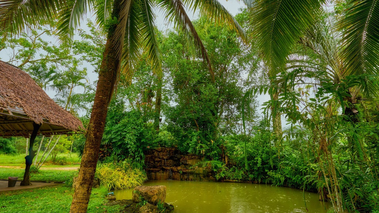 Photo of Outdoor in Ban Na Faek