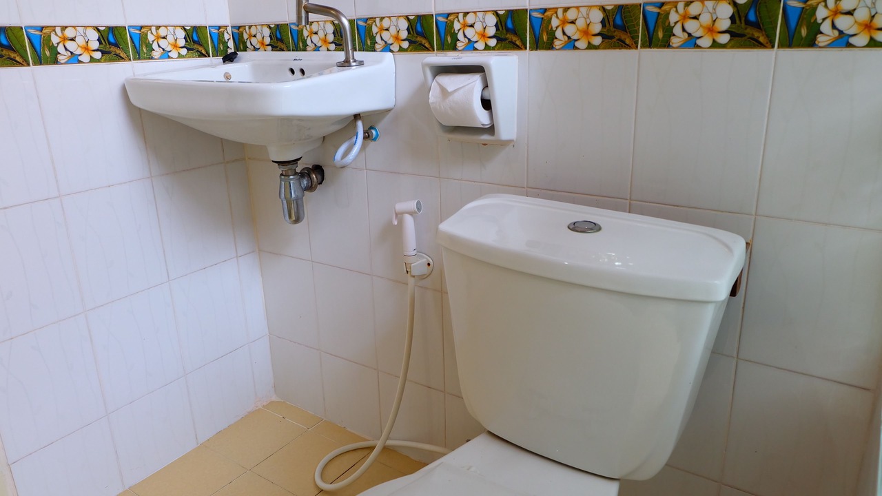 Photo of Bathroom in Chiang Dao