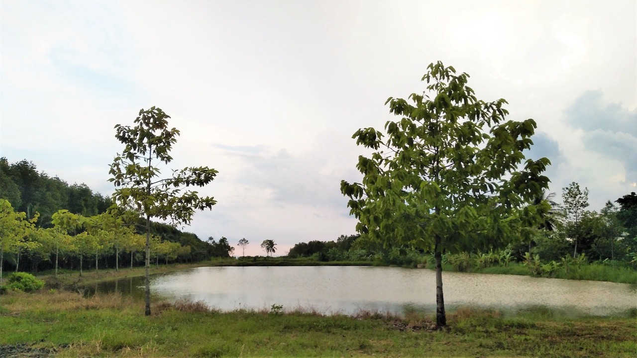 Photo of Outdoor in Khlong Yai
