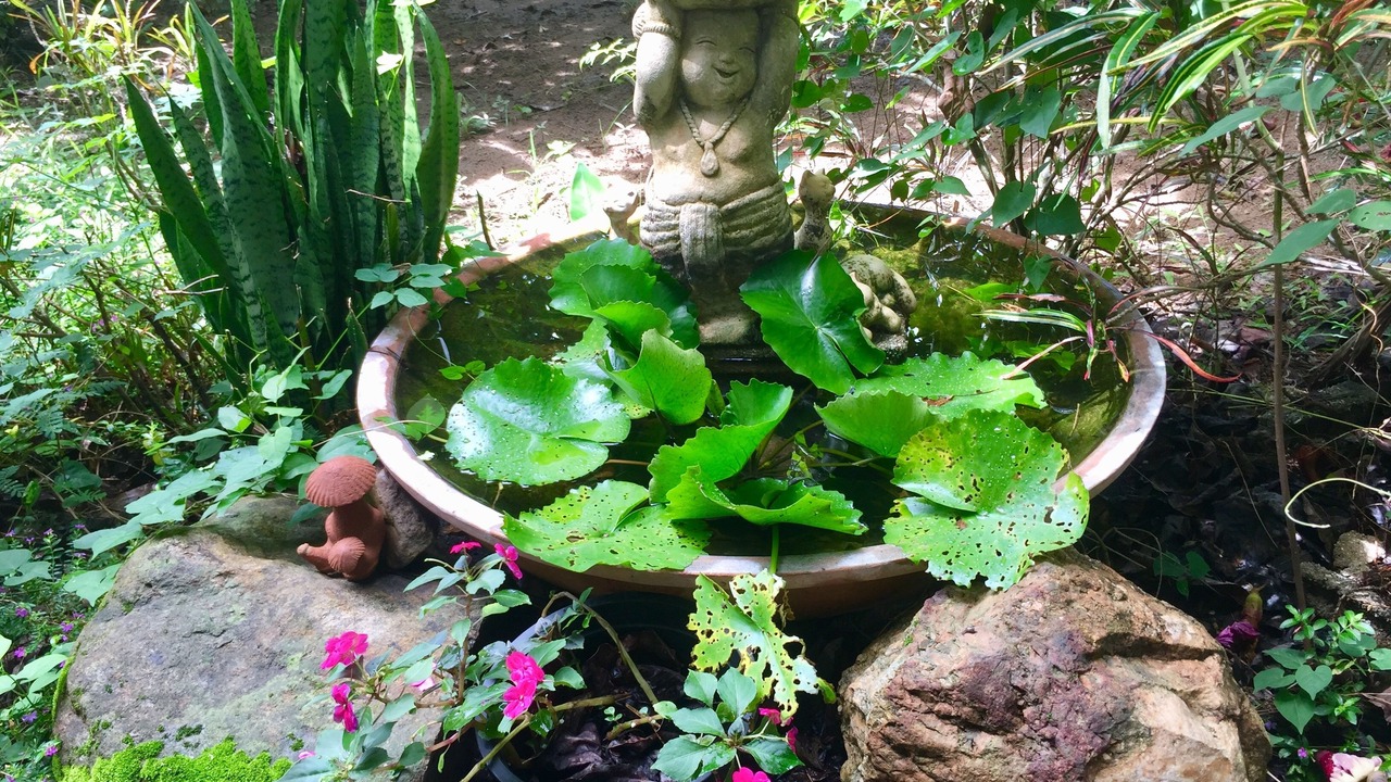 Photo of Outdoor in Pai