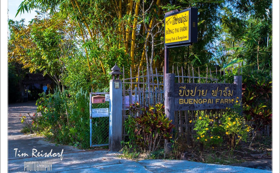 Photo of Outdoor in Pai