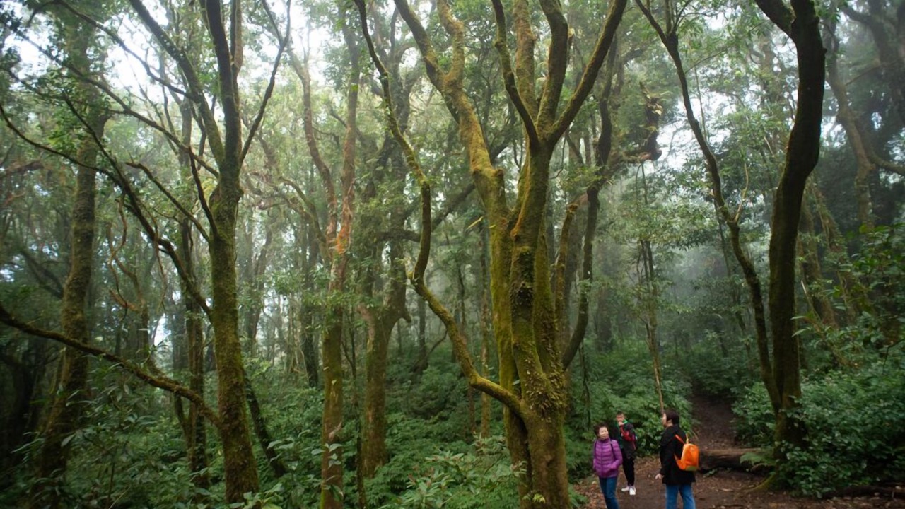 Photo of Outdoor in Ban Luang
