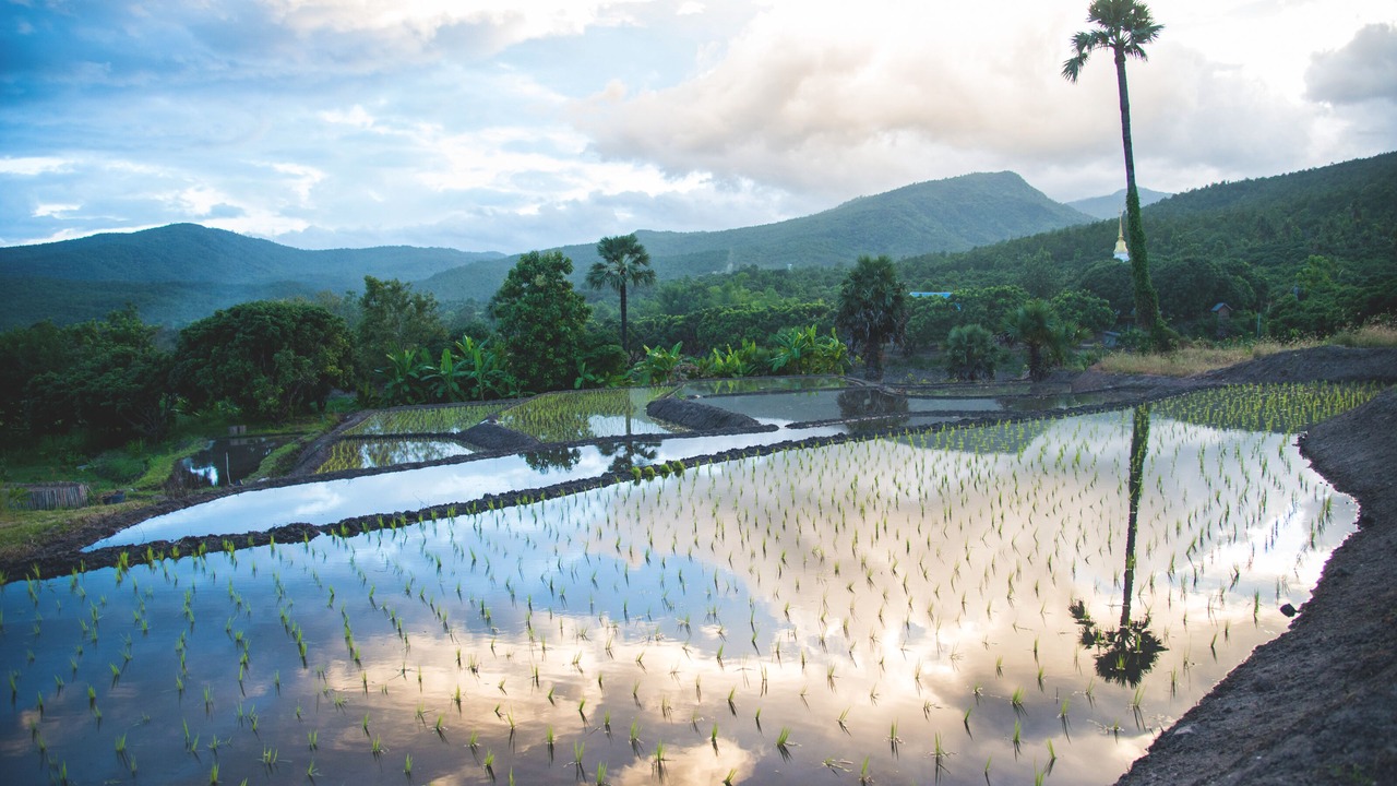 Photo of Outdoor in Ban Luang