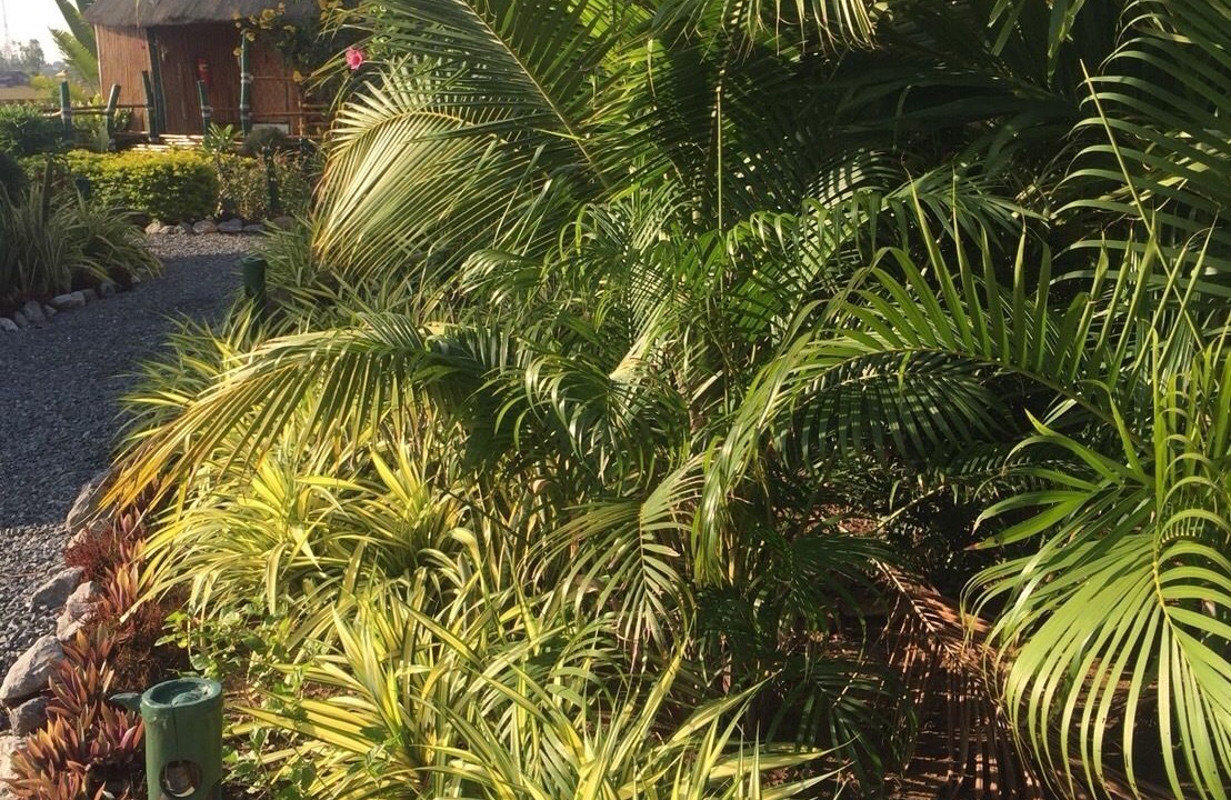Photo of Outdoor in Kantharawichai
