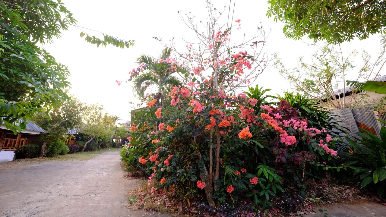 Photo of Outdoor in Khun Yuam