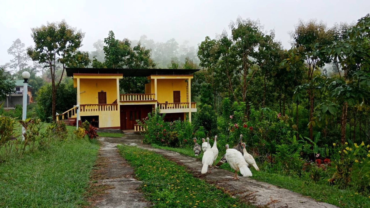 Photo of Outdoor in Khun Yuam