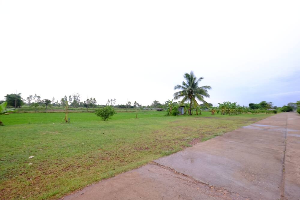 Photo of Outdoor in Phang Khon