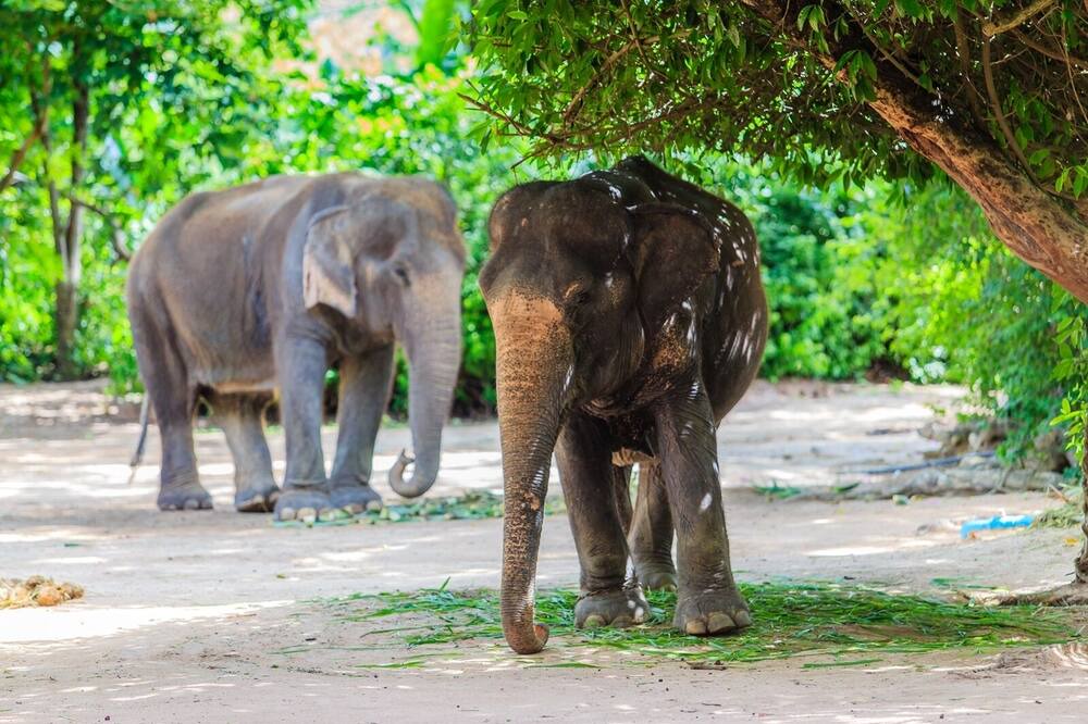 Photo of Others in North Pattaya
