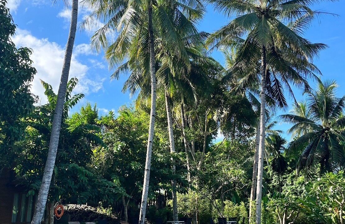 Photo of Outdoor in Mae Sariang