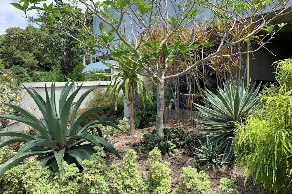 Photo of Outdoor in Hua Thanon